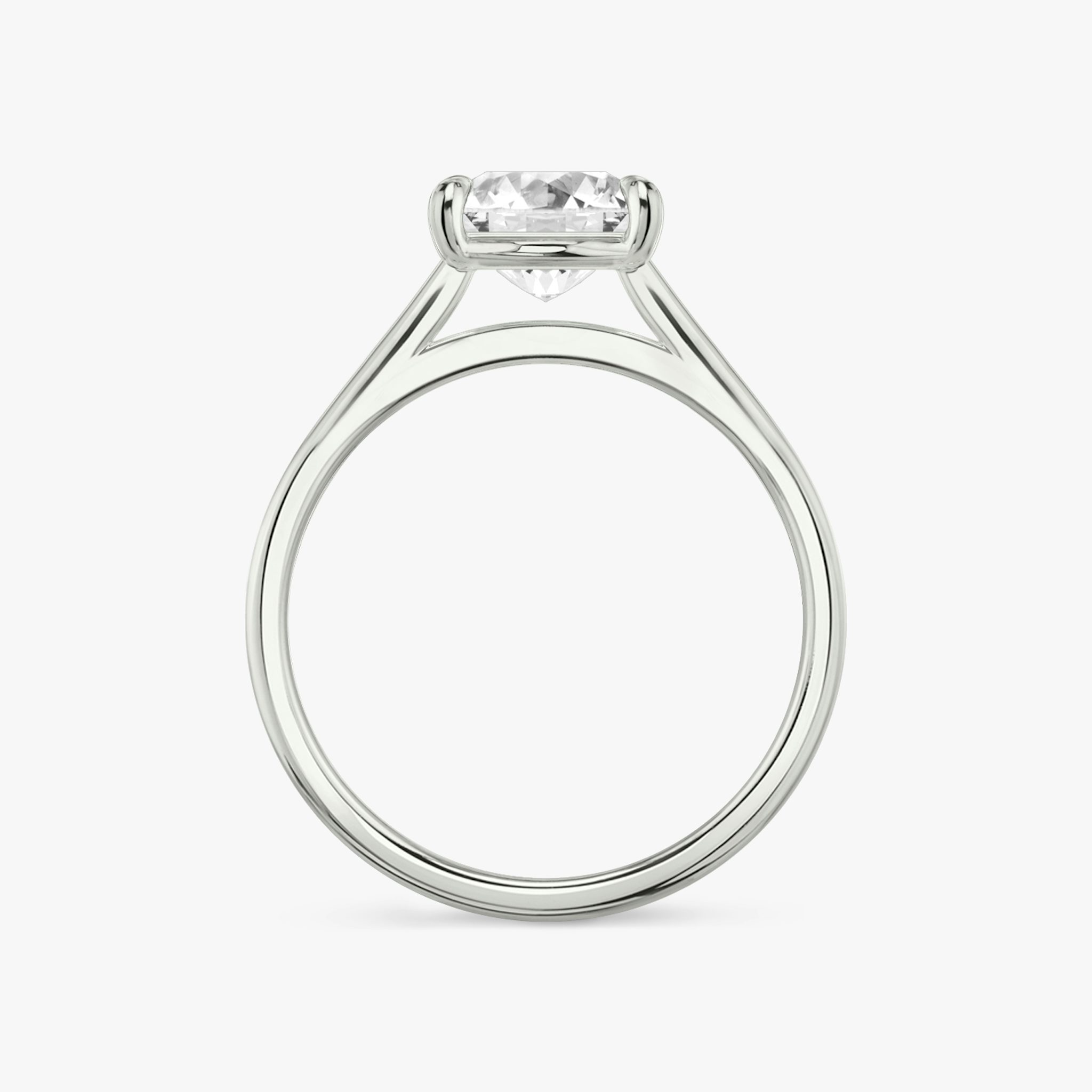 The Cathedral | Princess | Platinum | bandAccent: Plain | diamondOrientation: vertical | caratWeight: other