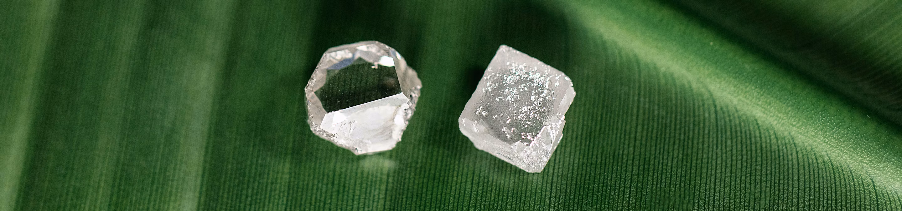 Lab-grown diamonds, Rough diamonds, Sustainable diamonds, Created diamonds