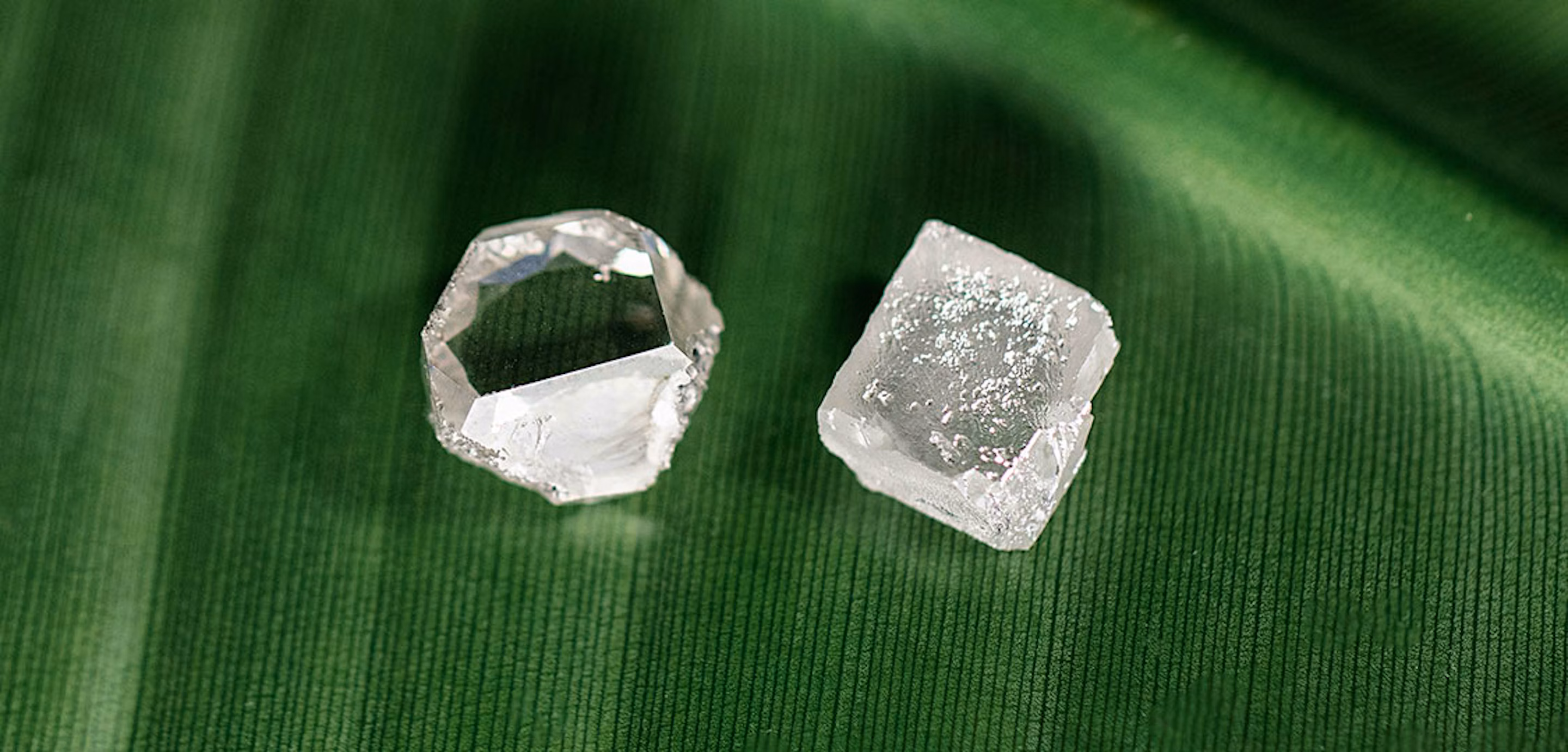Lab-grown diamonds, Rough diamonds, Sustainable diamonds, Created diamonds