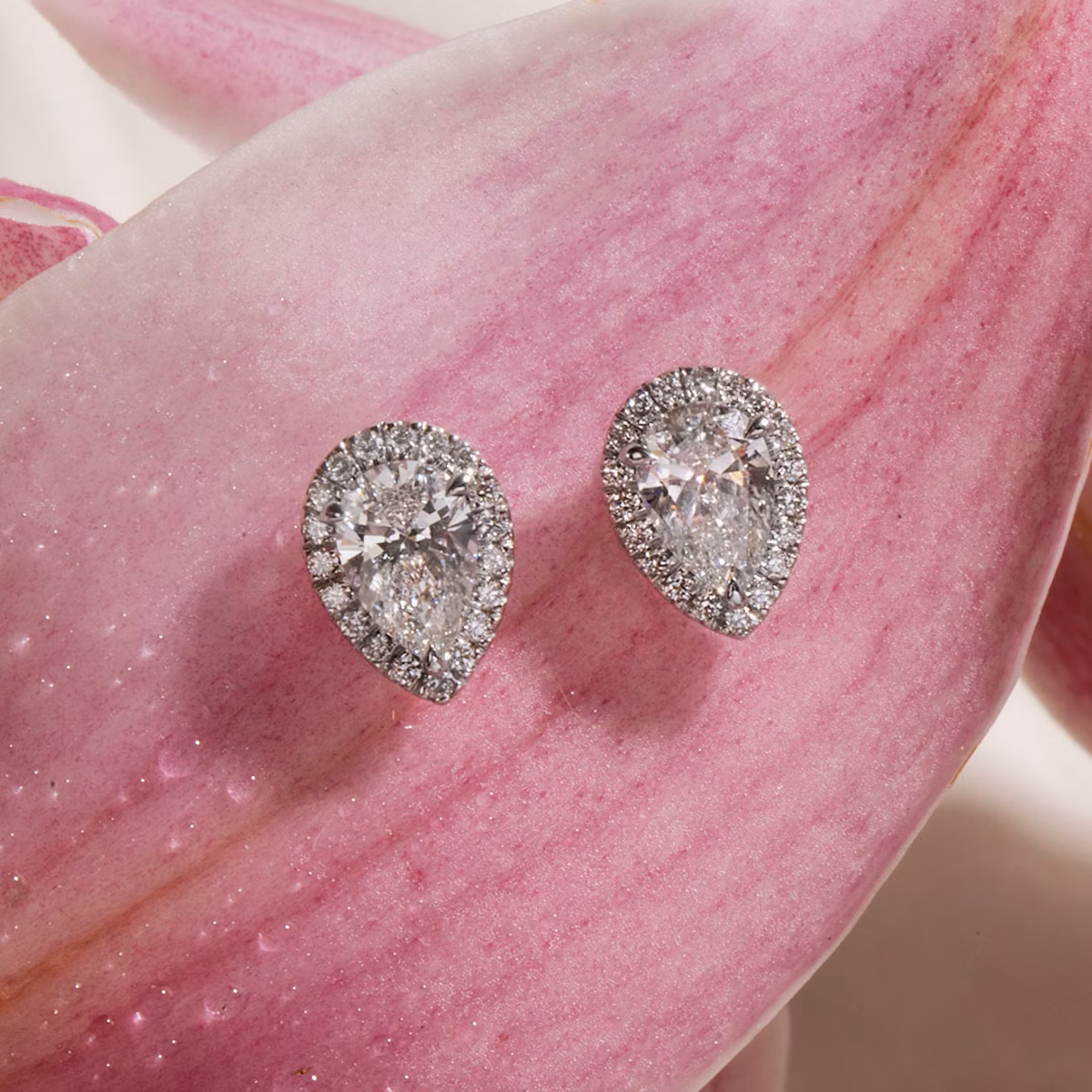 Halo Stud | Pear | 14k | White Gold | caratWeight: other