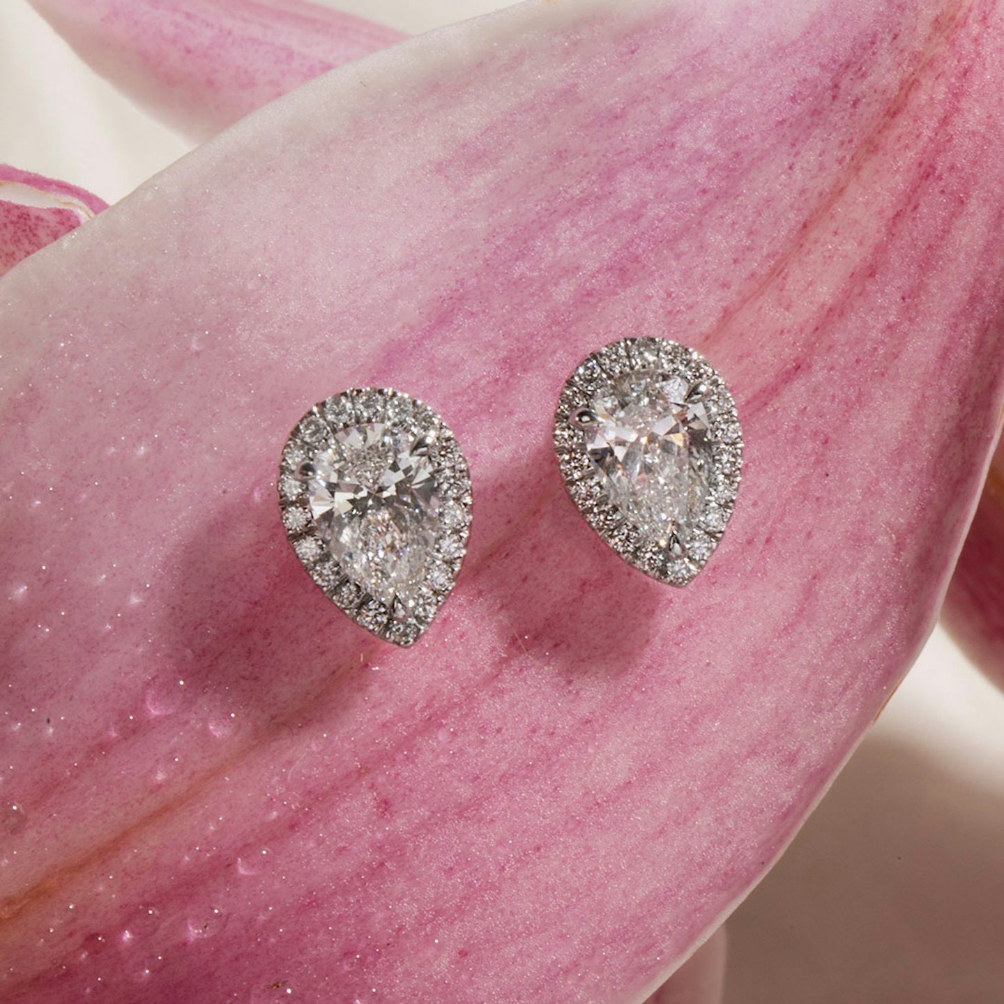 Halo Stud | Pear | 14k | White Gold | caratWeight: other