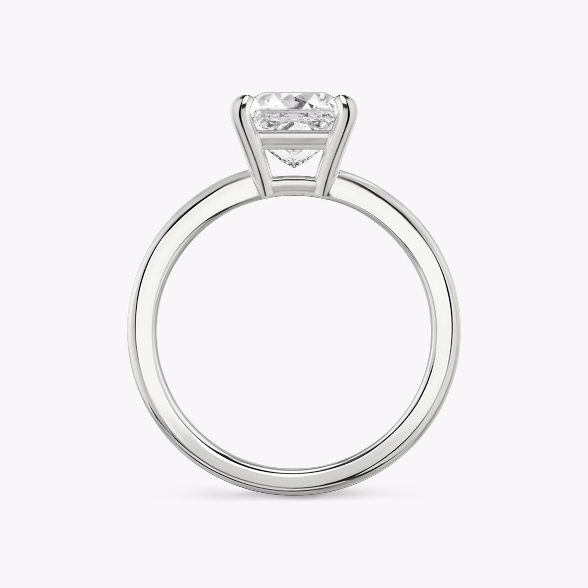 the double band solitaire engagement ring princess plain platinum profile view