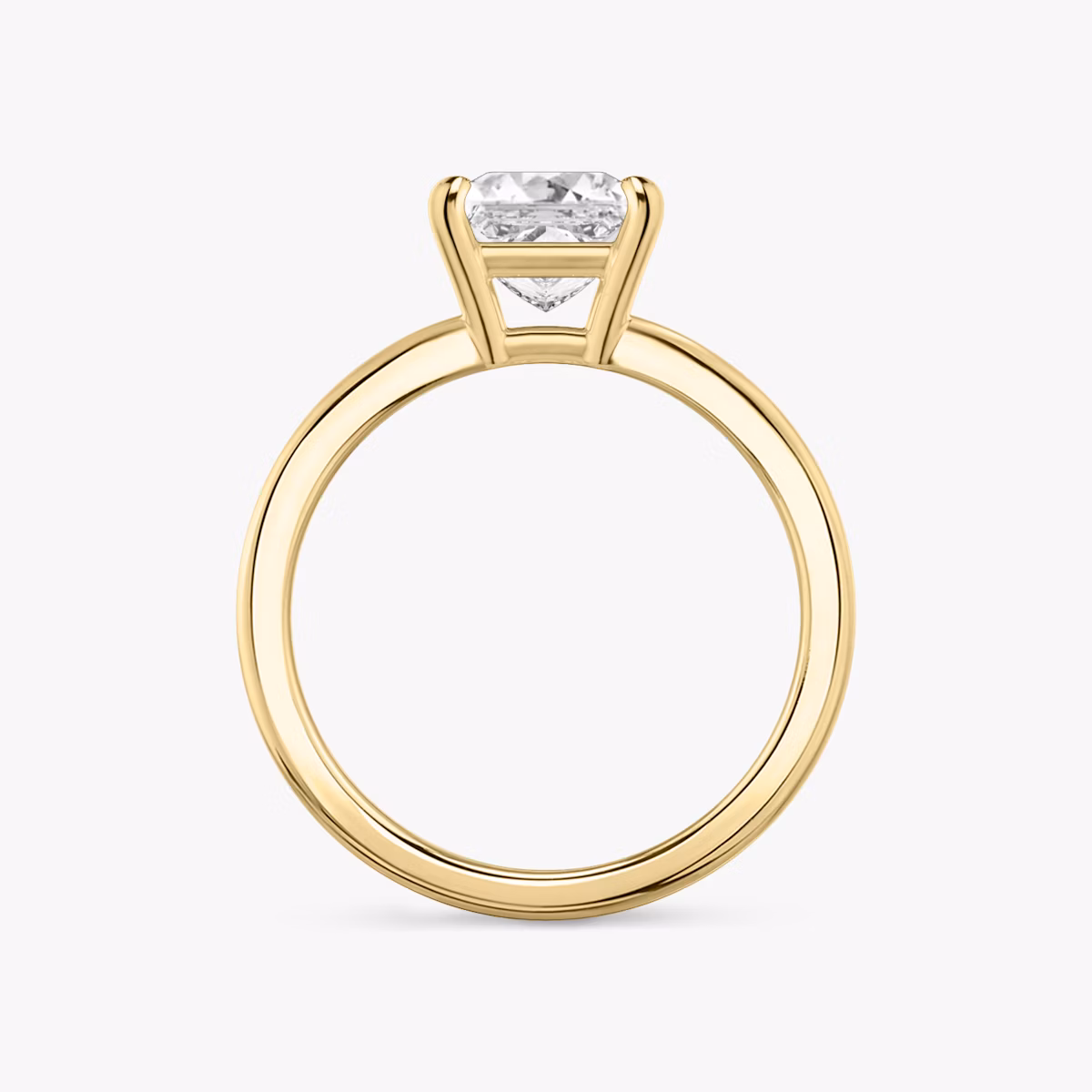 The Double Band | Princess | 18k | Yellow Gold | bandAccent: Plain | diamondOrientation: vertical | caratWeight: other