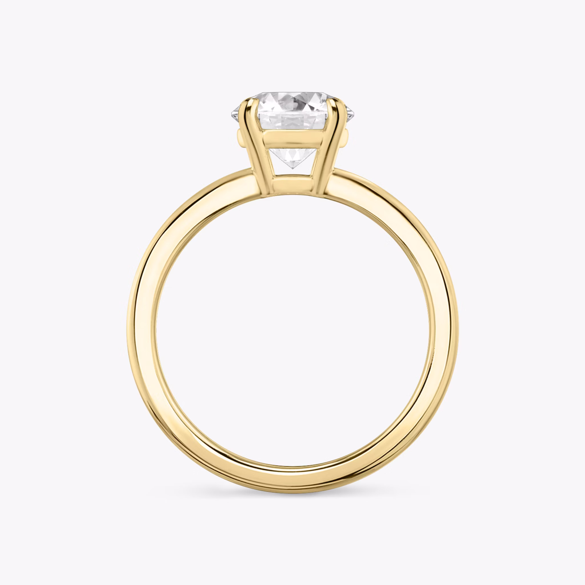The Double Band | Round Brilliant | 18k | Yellow Gold | bandAccent: Plain | caratWeight: 1.0ct | diamondOrientation: vertical