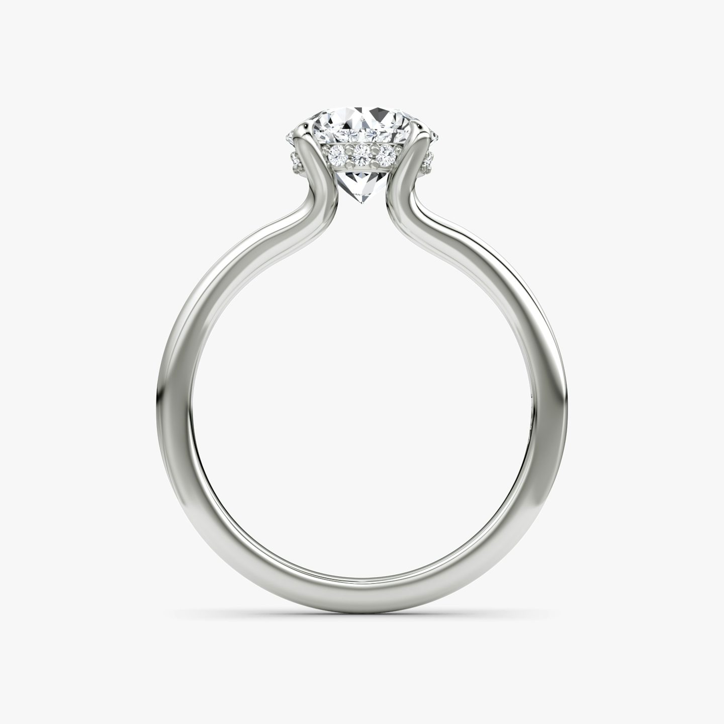 The Floating Split Band | Round Brilliant | Platinum | bandAccent: Plain | caratWeight: other | diamondOrientation: vertical