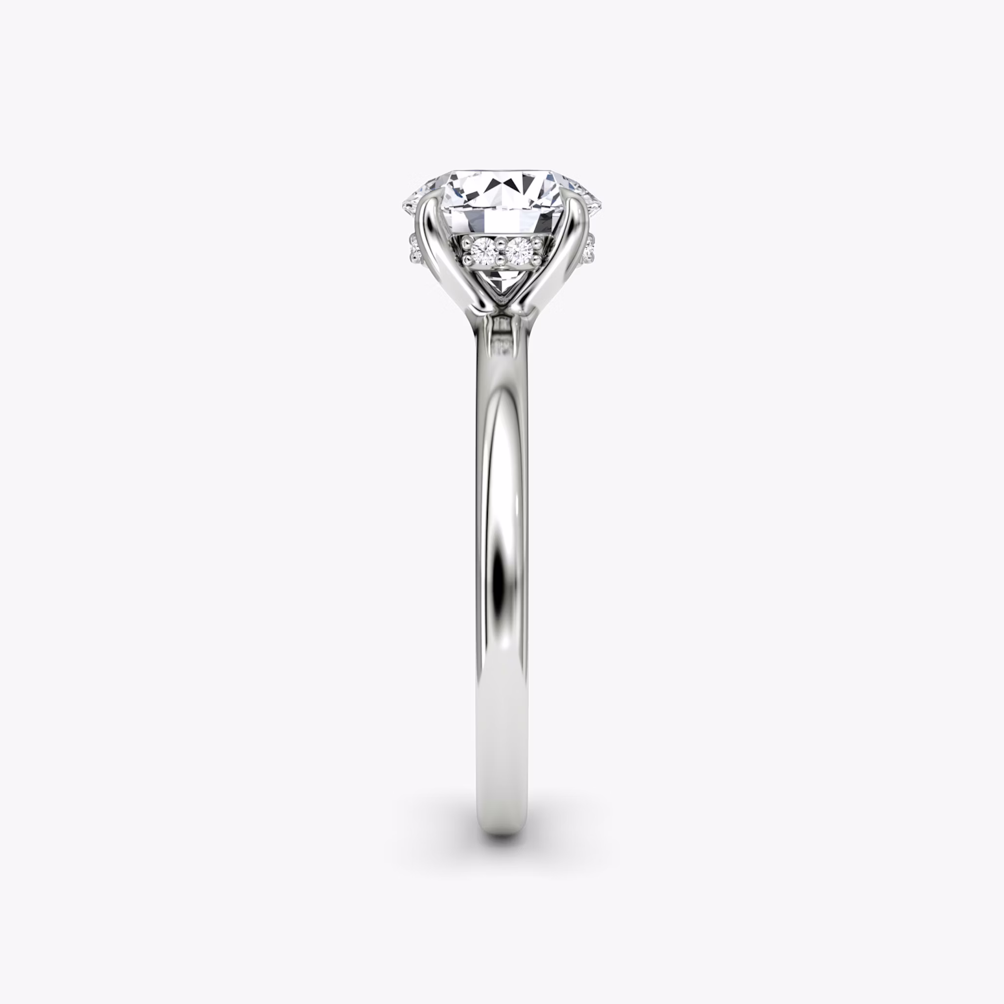 The Floating Solitaire | Round Brilliant | Platinum | bandAccent: Plain | caratWeight: other | diamondOrientation: vertical