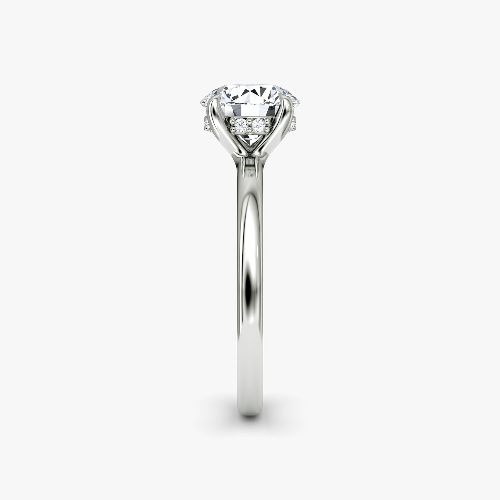 The Floating Solitaire | Round Brilliant | Platinum | bandAccent: Plain | caratWeight: other | diamondOrientation: vertical