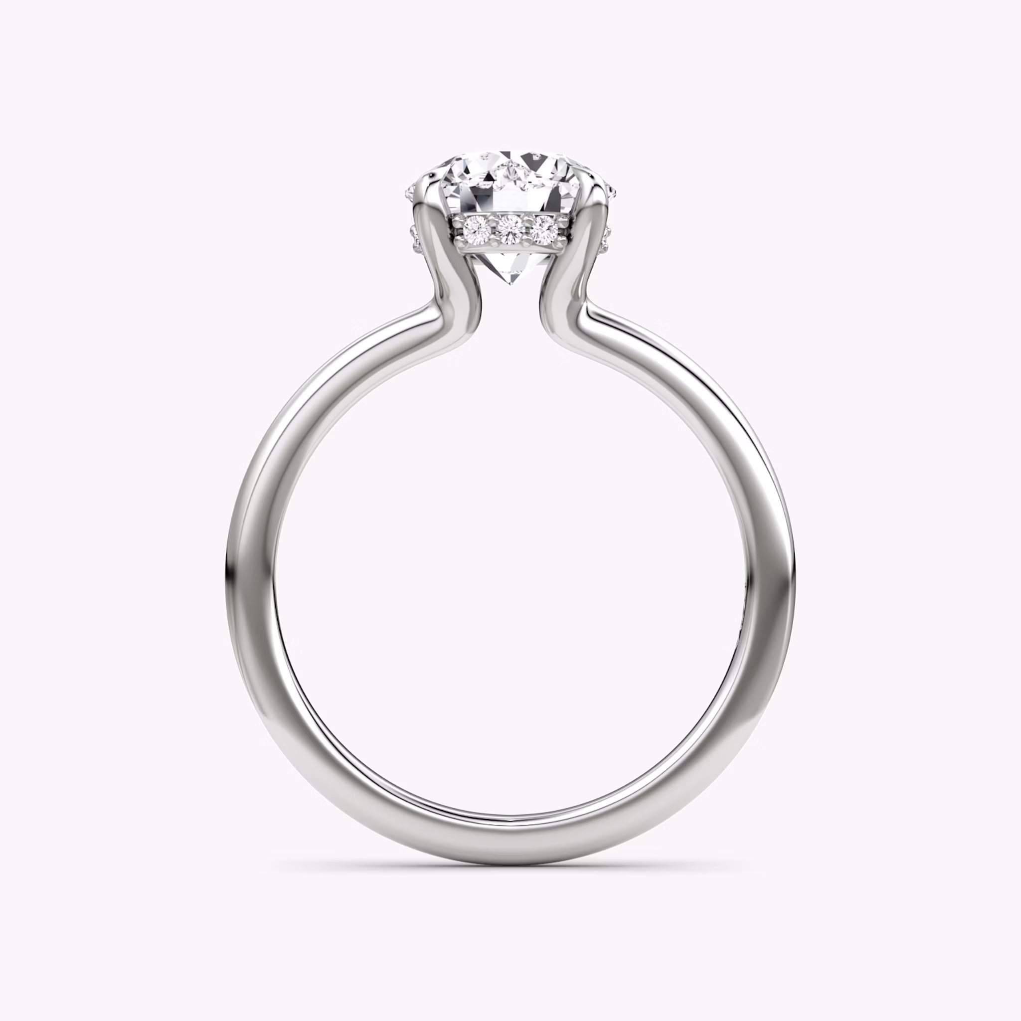 The Floating Solitaire | Round Brilliant | Platinum | bandAccent: Plain | caratWeight: other | diamondOrientation: vertical