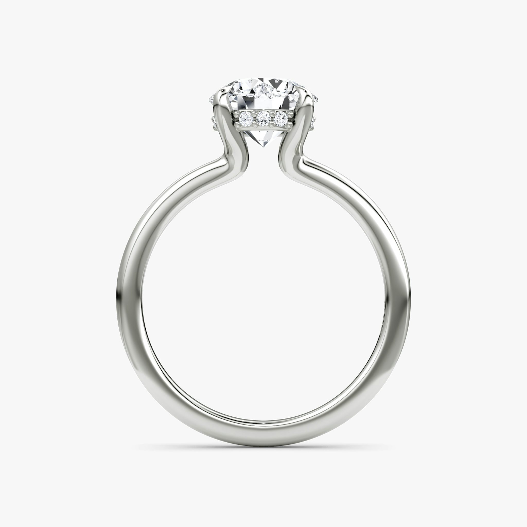 The Floating Solitaire | Round Brilliant | Platinum | bandAccent: Plain | caratWeight: other | diamondOrientation: vertical