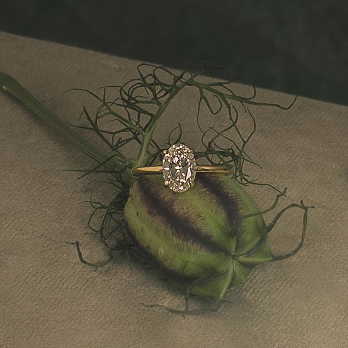 The Floating Solitaire | Cushion | 14k | Rose Gold | bandAccent: Plain | diamondOrientation: vertical | caratWeight: other
