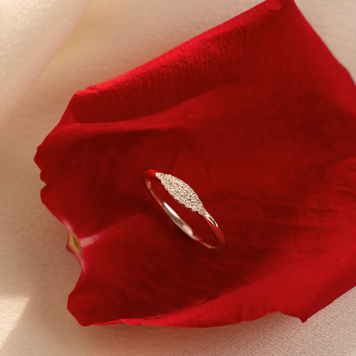 Pavé Ring | 14k | Yellow Gold