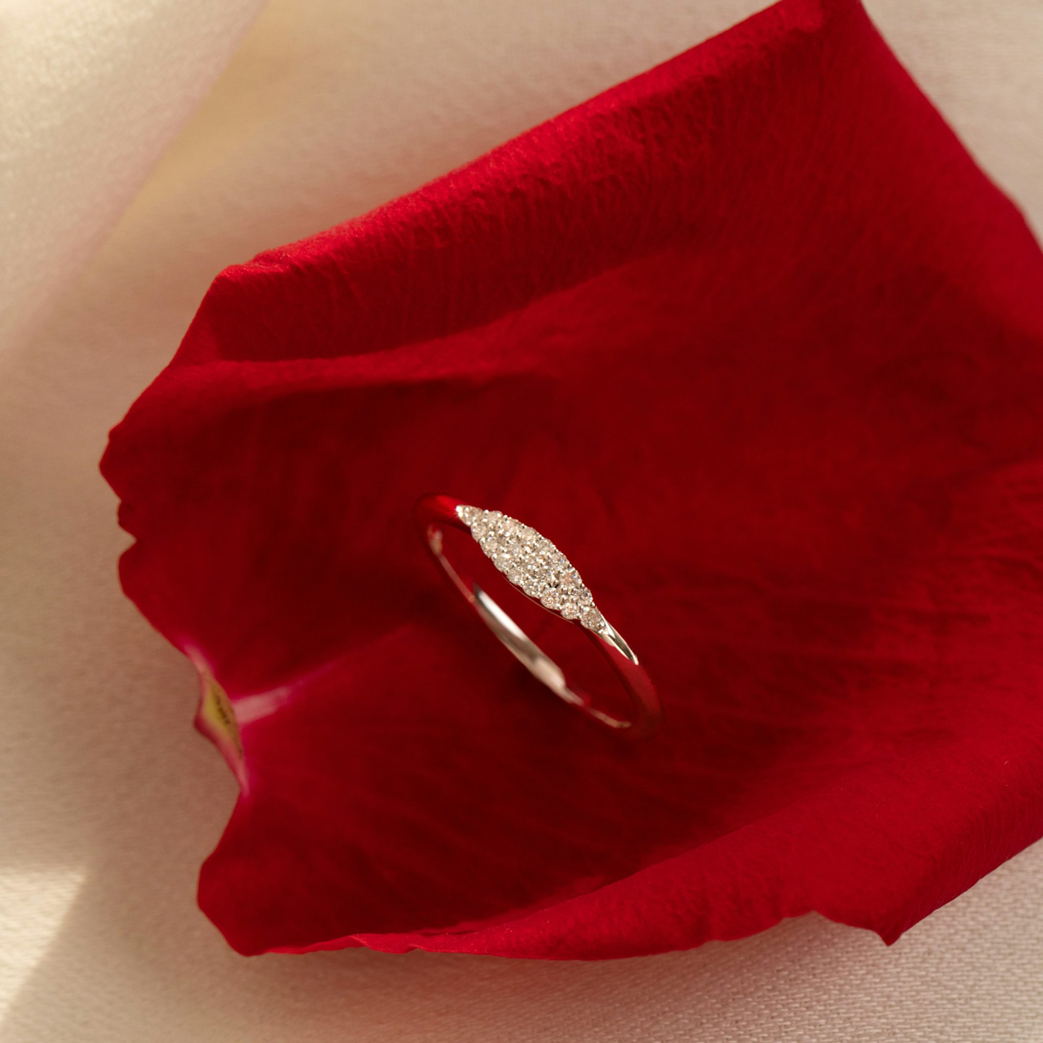 Pavé Ring | 14k | White Gold