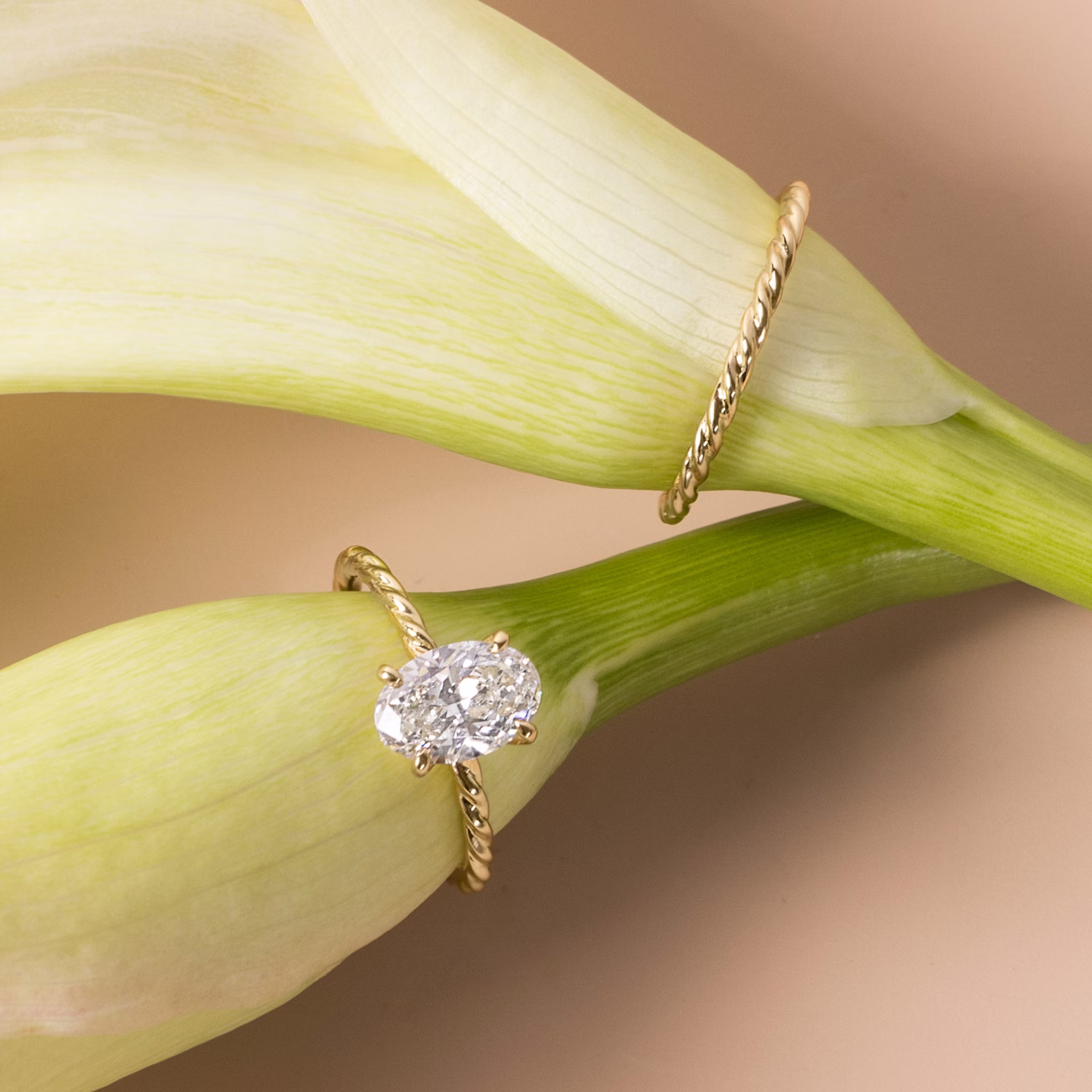 The Classic Rope | Oval | 18k | White Gold | bandAccent: Plain | diamondOrientation: vertical | caratWeight: other