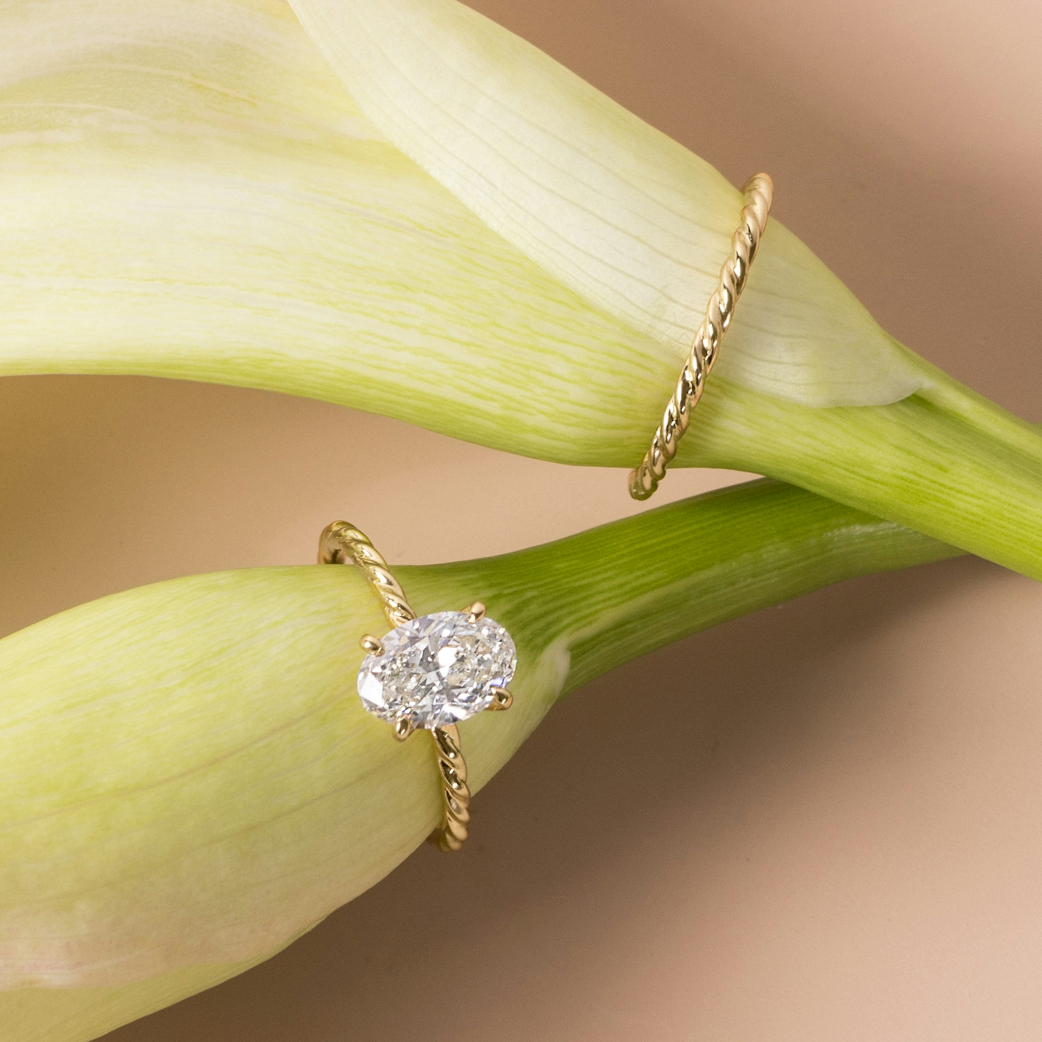 The Classic Rope | Oval | 18k | White Gold | bandAccent: Plain | diamondOrientation: vertical | caratWeight: other