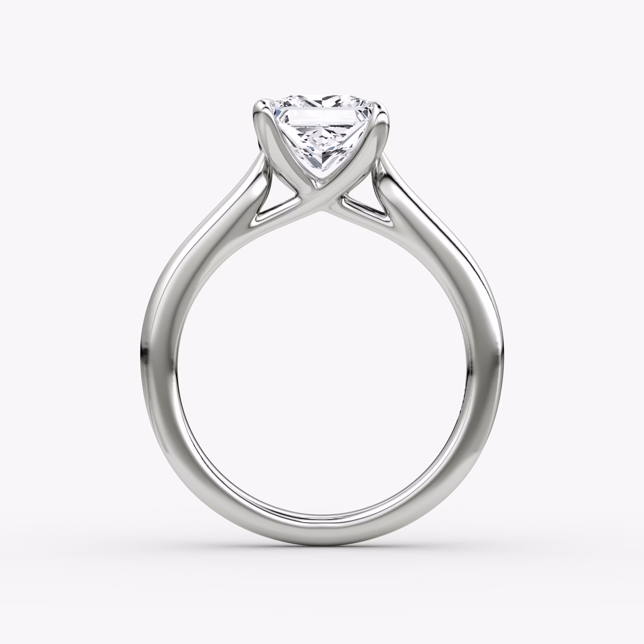 The Trellis Cathedral | Princess | 18k | White Gold | bandAccent: Plain | diamondOrientation: vertical | caratWeight: other