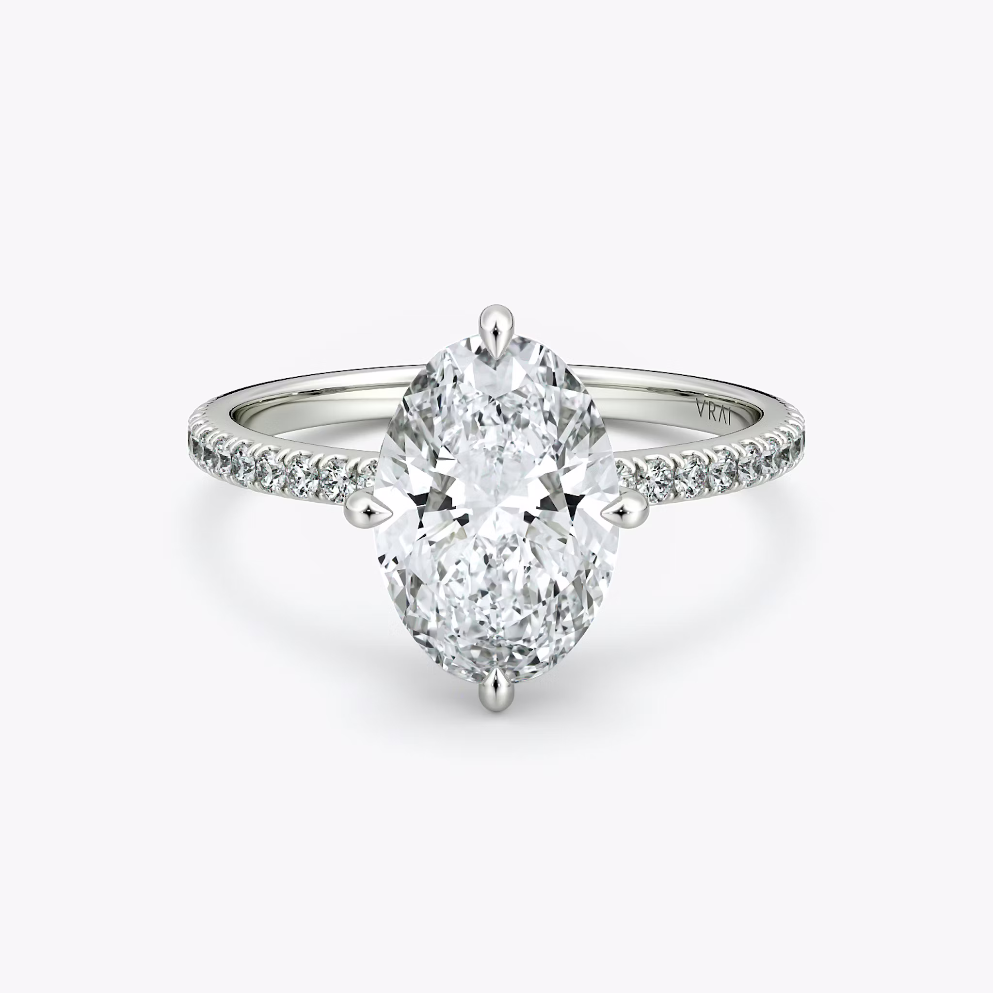 The Compass Solitaire Oval | White Gold