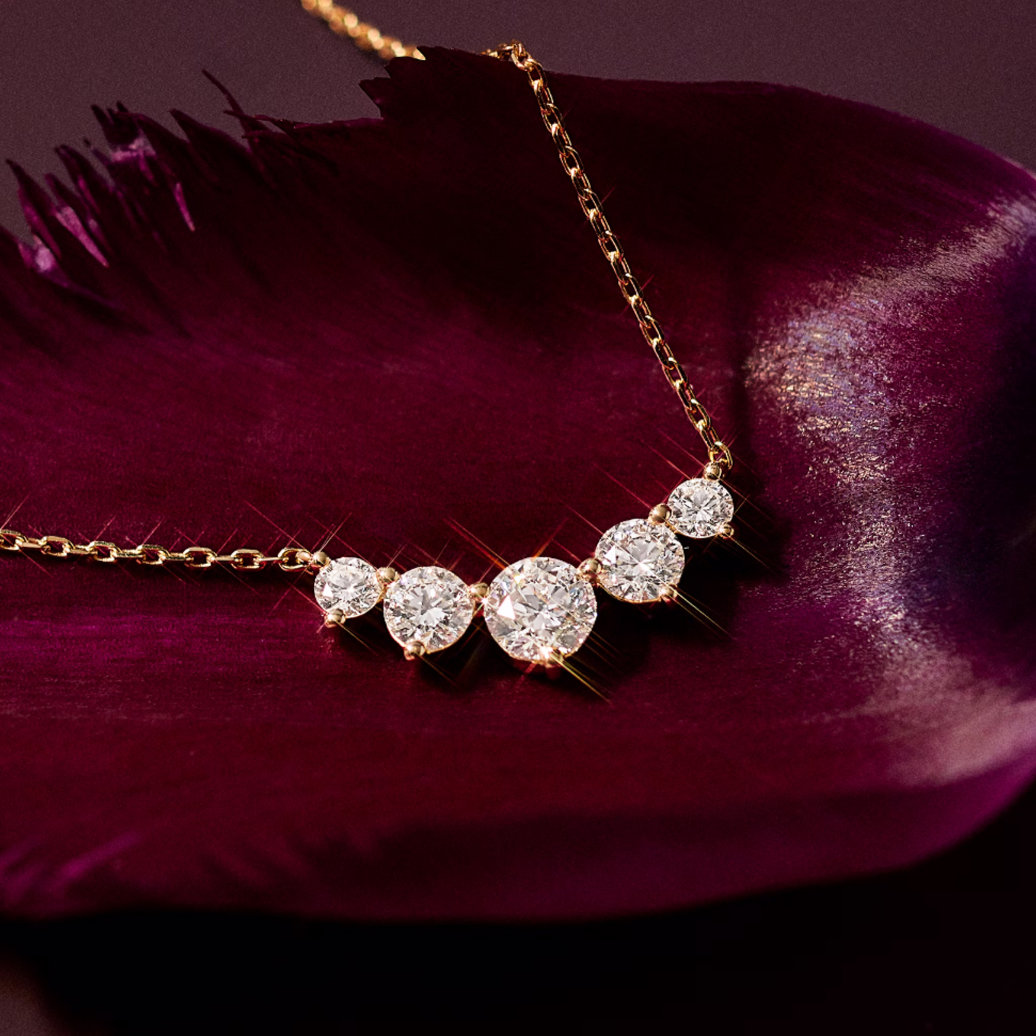 Necklace with five round cut diamonds with a yellow gold chain placed on a flower petal