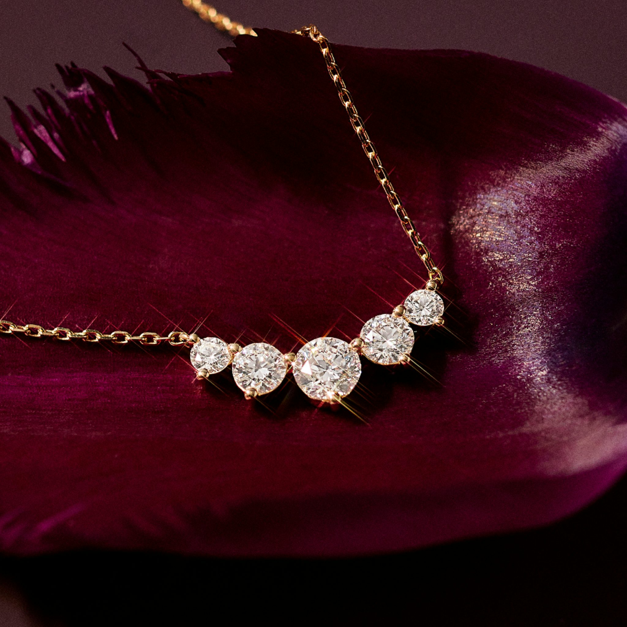 Necklace with five round cut diamonds with a yellow gold chain placed on a flower petal