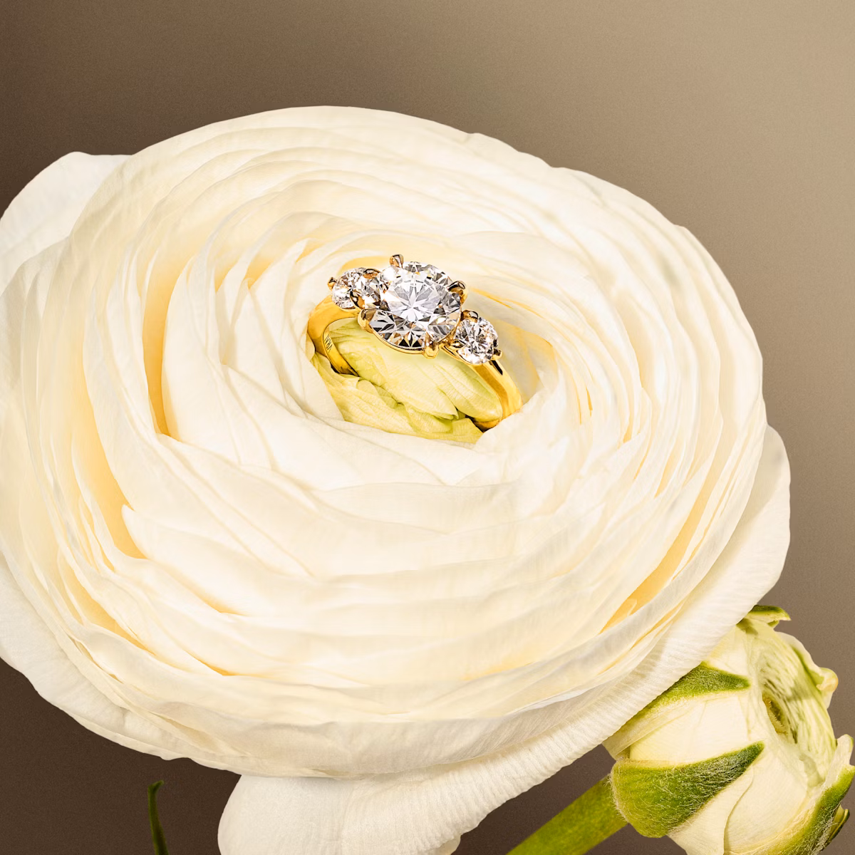 Three Stone Engagement Ring with round diamonds placed on a flower