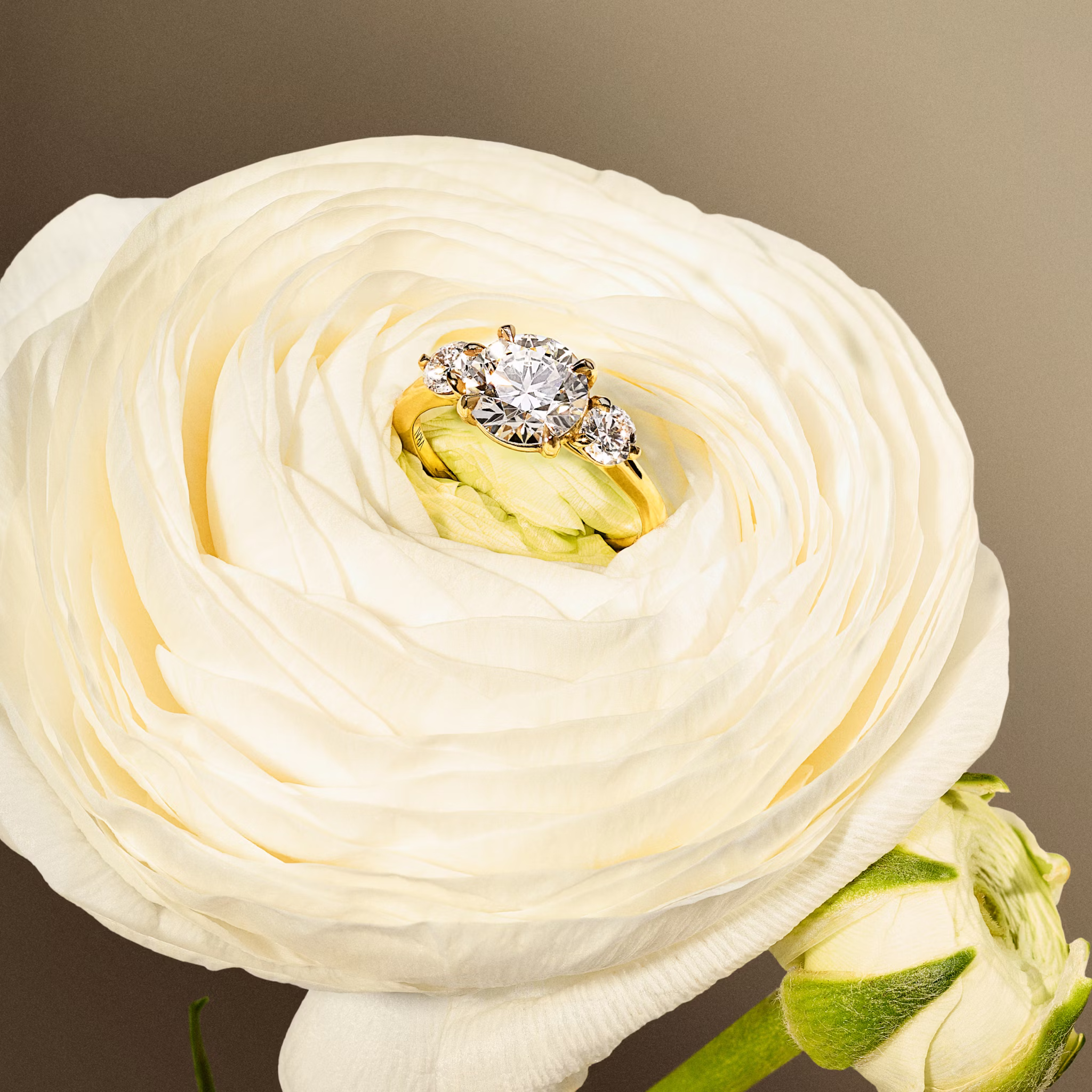 Three Stone Engagement Ring with round diamonds placed on a flower