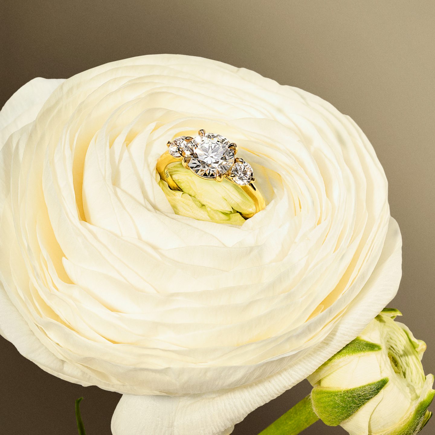 Three Stone Engagement Ring with round diamonds placed on a flower