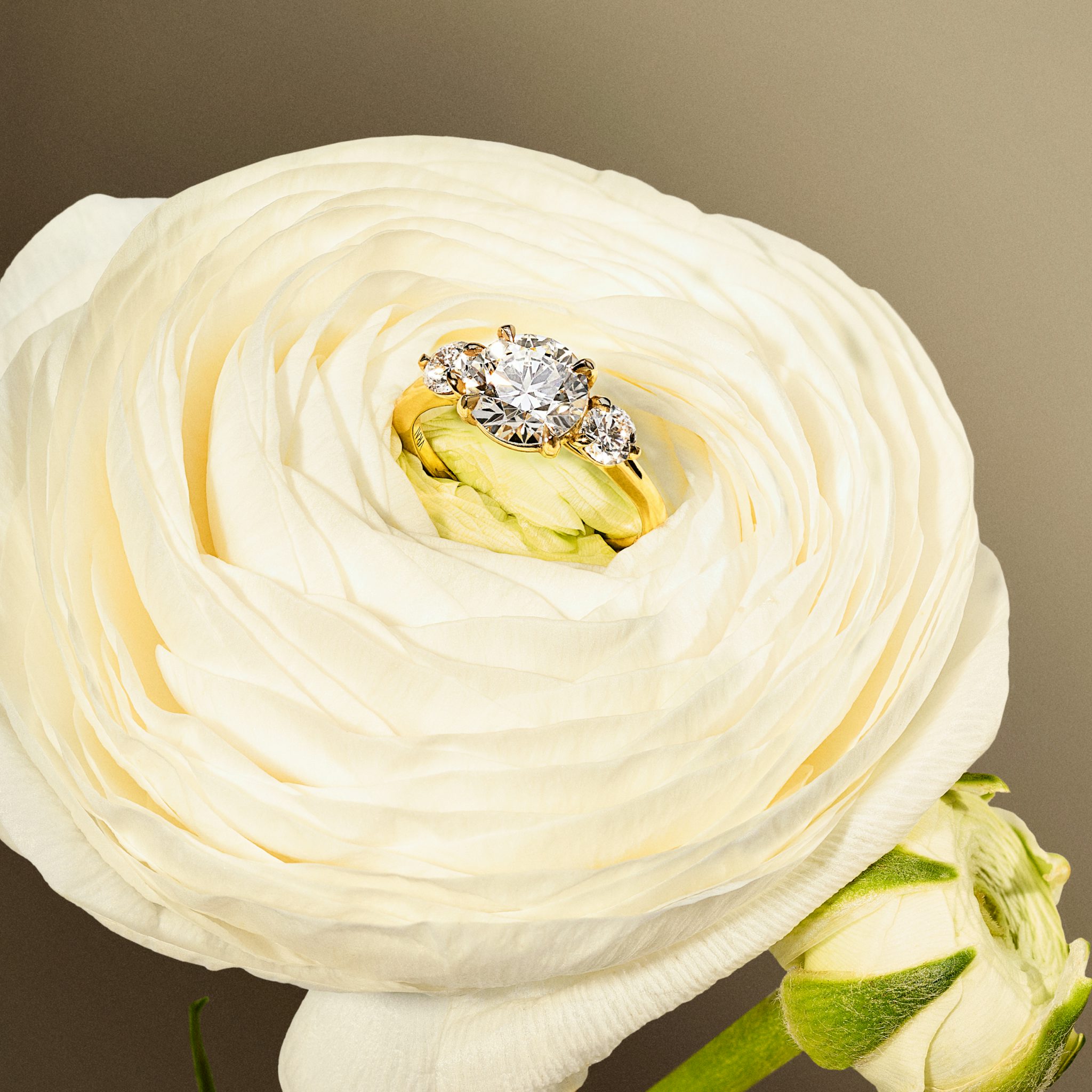 Three Stone Engagement Ring with round diamonds placed on a flower
